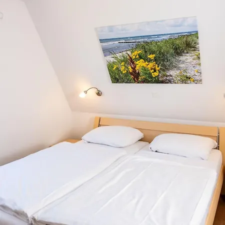 Urlaub Im Reethaus Delphin Mit Whirlpool Und Sauna By Interhome
